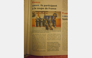 Coupe de France Karate Contact FFK  17/18 /Decembre a paris 
