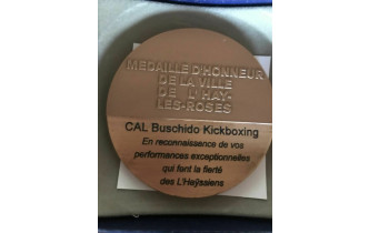 Medaille d'honneur de la ville de l'hay les roses pour les performances sportifs 